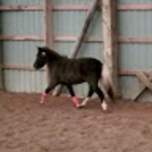 Meet your Posher, Isabela